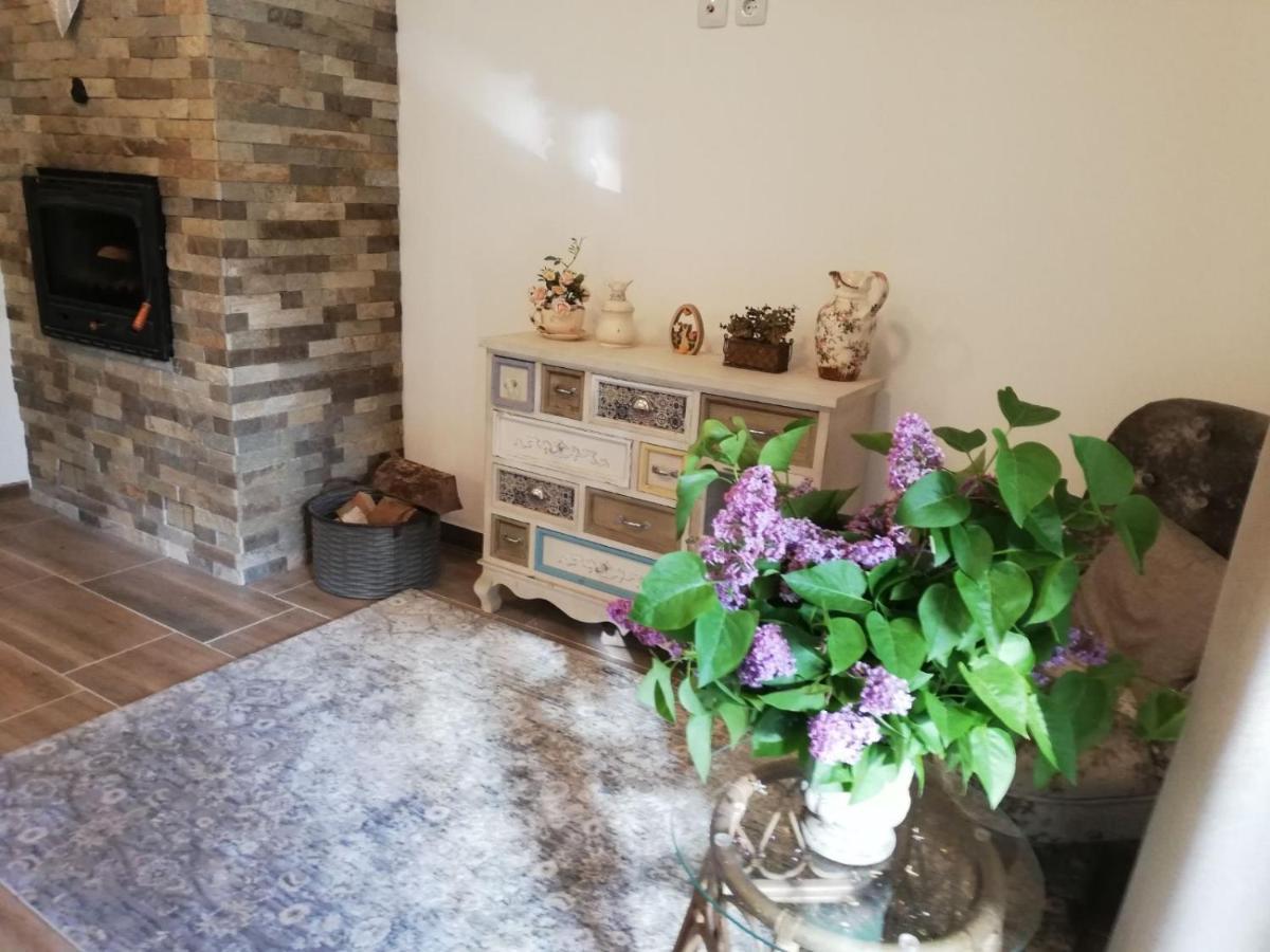Вила Ренесанс Костенец Extérieur photo